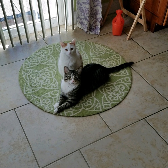 Meet your Posher, Kaye - Picture 1 of 1